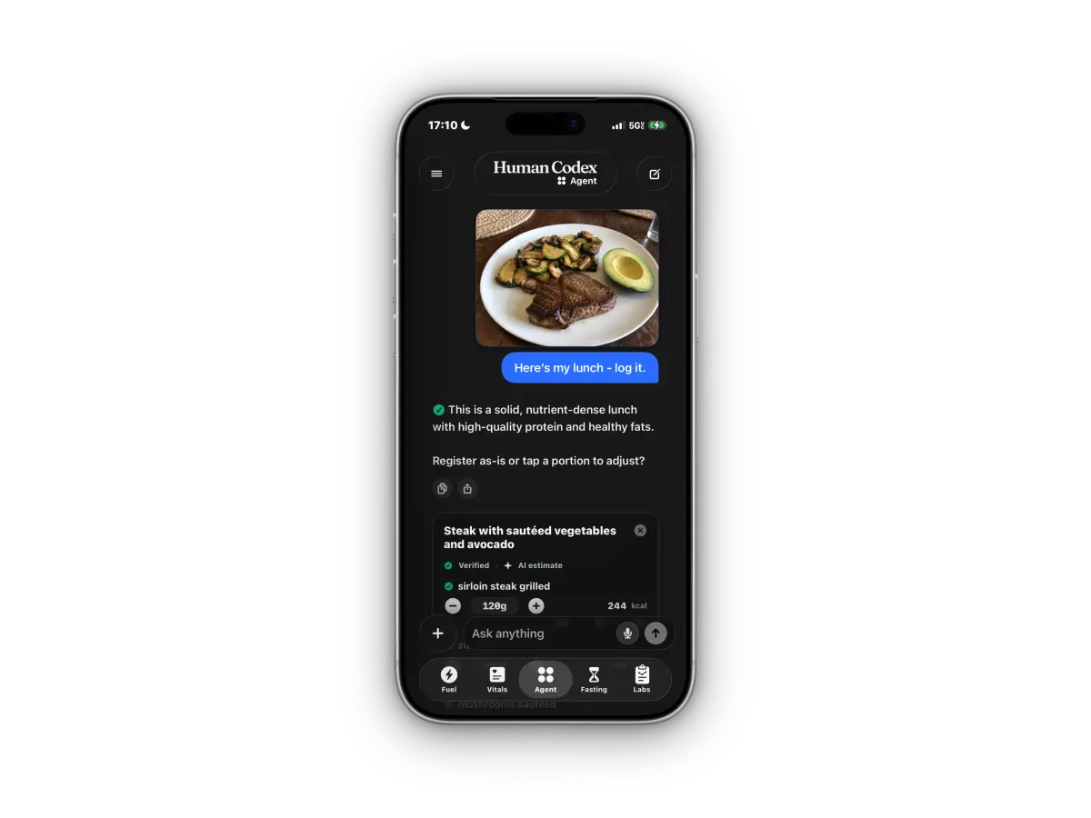 Agent identifying a meal from a photo